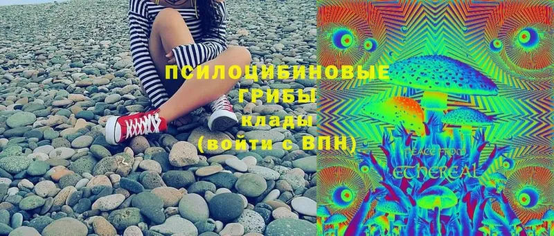 Галлюциногенные грибы MAGIC MUSHROOMS  Киров 